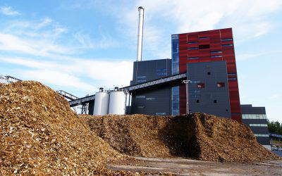 Over 96 % of the UK’s Waste Wood Processed in 2024, Says WRA